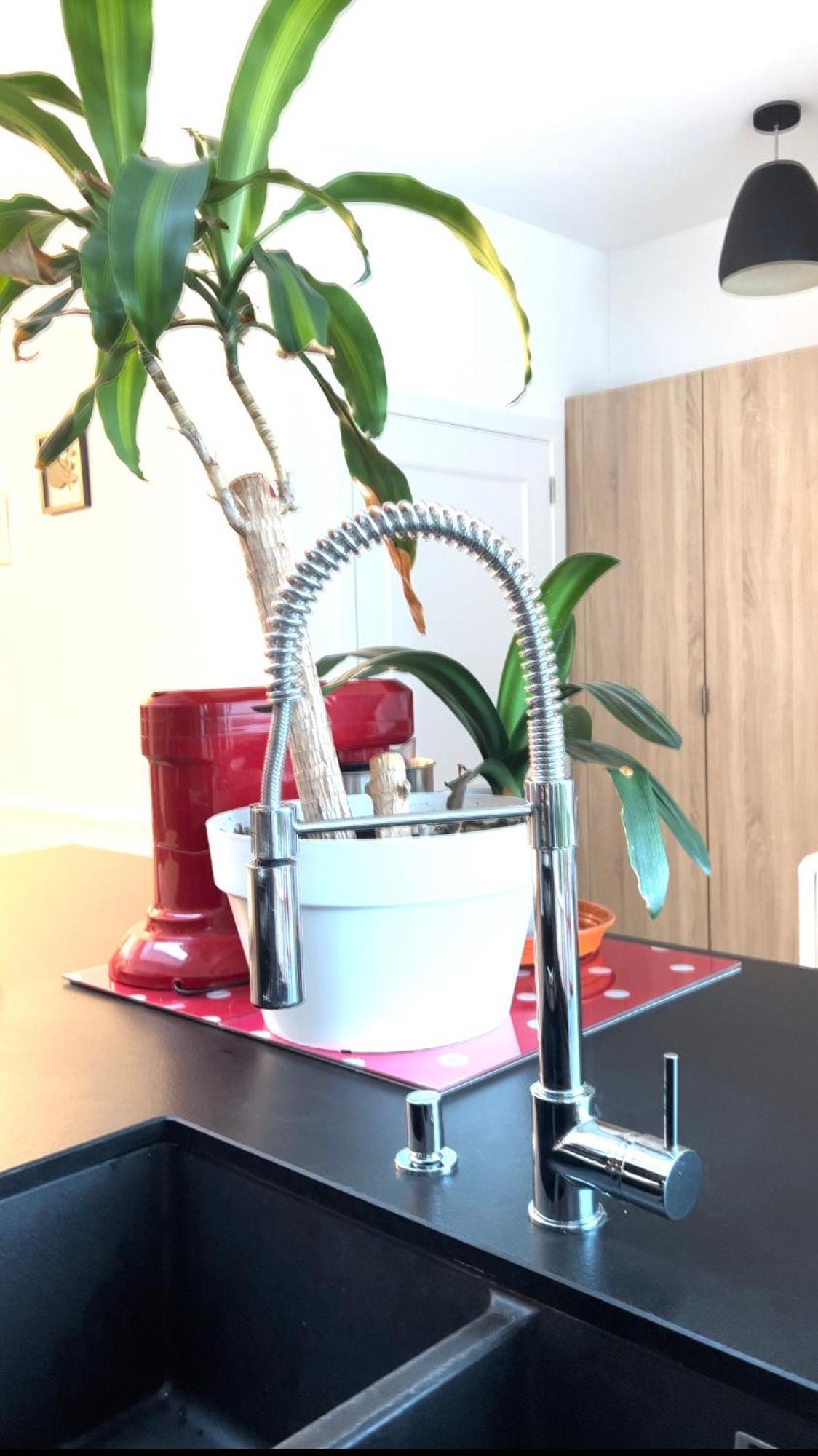 Appartement 3 Chambres Centre Vilvoorde Bruxelles Brusselsairport Expo Nato Anvers Wifi Free Parking المظهر الخارجي الصورة